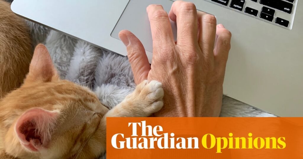 Banning kids from social media isn't the way - it's the over 60s who should get off the internet |  Miski Omar